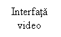 Text Box: Interfata 
video
