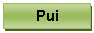 Text Box: Pui