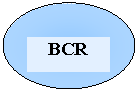 Oval:     BCR
