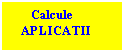 Text Box:       Calcule 
   APLICATII
