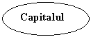 Oval: Capitalul