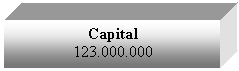Text Box: Capital
123.000.000
