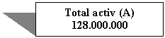 Text Box: Total activ (A)
128.000.000
