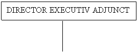 Text Box: DIRECTOR EXECUTIV ADJUNCT