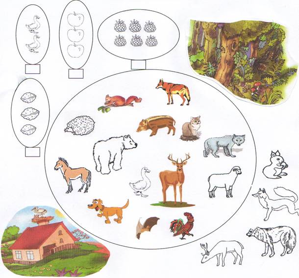 Animale Salbatice Din Padure Fise De Lucru Proiect de lectie CLASA: I Matematica si Stiintele nturii - Animale