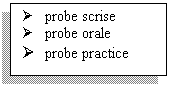 Text Box: 	probe scrise
	probe orale
	probe practice
