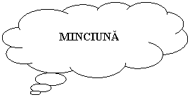 Cloud Callout: MINCIUNA
