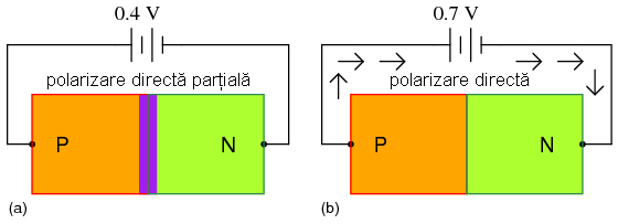 polarizarea directa a diodei: (a) partiala; (b) completa