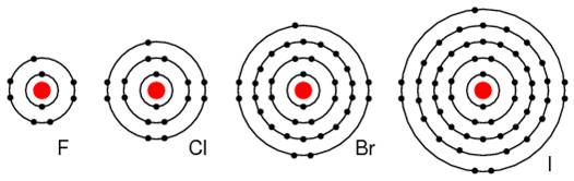 elementele din grupa VIIA; toate au sapte electroni de valenta, prin urmare, acestea accepta un electron pentru completarea stratului de valenta