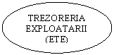 Oval: TREZORERIA EXPLOATARII (ETE)