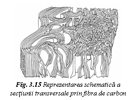 Text Box:  
Fig. 3.15 Reprezentarea schematica a sectiunii transversale prin fibra de carbon
