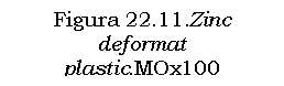 Text Box: Figura 22.11.Zinc deformat
plastic.MOx100

