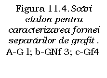 Text Box: Figura 11.4.Scari etalon pentru caracterizarea formei separarilor de grafit .
A-G l; b-GNf 3; c-Gf4                   
