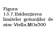 Text Box:           
Figura 13.7.Evidentierea
limitelor grauntilor de atac Viella.MOx500
