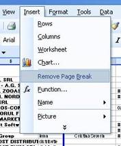 remove page break