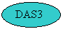 Oval: DAS3