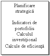 Text Box: Planificare strategica

Indicatori de portofoliu
Calculul investitional
Calcule de eficienta
