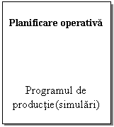 Text Box: Planificare operativa




Programul de productie(simulari)
