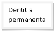 Text Box: Dentitia permanentaaa