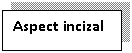 Text Box: Aspect incizal
