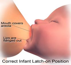 Correct Infant Latch-on Position