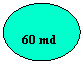 Oval: 60 md
