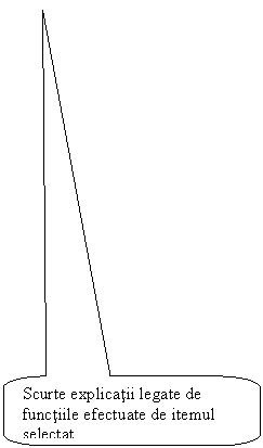 Rounded Rectangular Callout: Scurte explicatii legate de functiile efectuate de itemul selectat