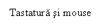 Text Box: Tastatura si mouse