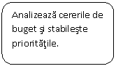 Rounded Rectangle: Analizeaza cererile de buget si stabileste prioritatile.