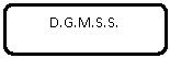 Rounded Rectangle: D.G.M.S.S.
