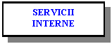 Text Box: SERVICII INTERNE