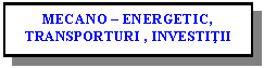 Text Box: MECANO – ENERGETIC, TRANSPORTURI , INVESTITII