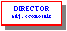 Text Box: DIRECTOR 
adj . economic


