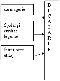 Text Box: B
U
C
A
T
A
R
I
E
,Text Box: Spalat si
curatat
legume

,Text Box: Intretinere
utilaj
,Text Box: carmagerie