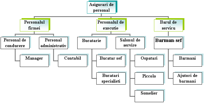 Organization Chart