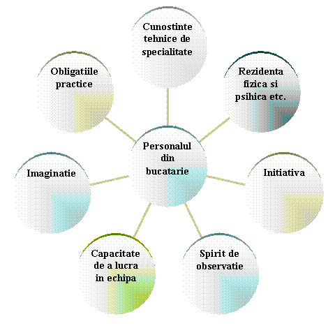 Radial Diagram