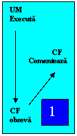 Text Box: UM
Executa


               
                       CF
          Comenteaza                     





CF
obseva

