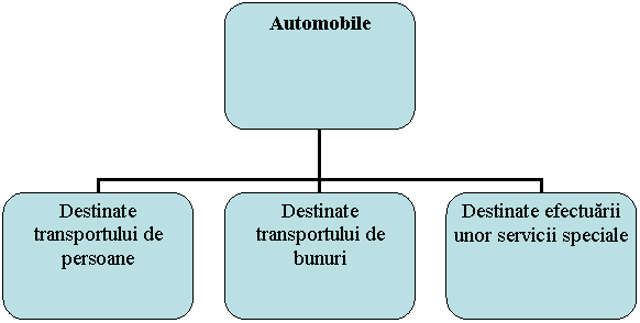 Organization Chart