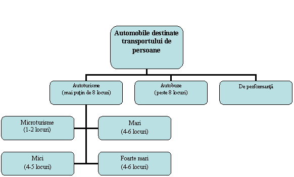 Organization Chart