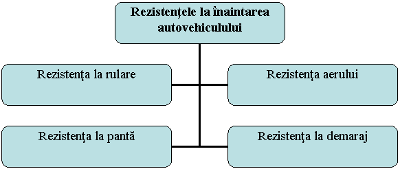 Organization Chart