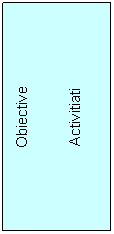 Text Box: Obiective


Activitiati
