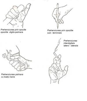 biomecanica mainii umane)