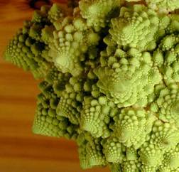 fractal romanesco