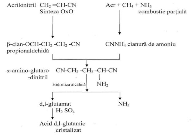 Tehnologia de obtinere a acidului glutamic