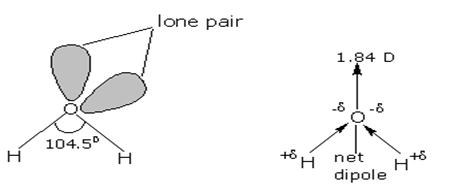 Structure of water molecule 