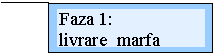 Text Box: Faza 1: 
livrare  marfa
