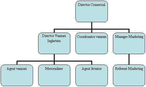 Organization Chart