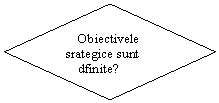 Flowchart: Decision:      Obiectivele
 srategice sunt
     dfinite?
