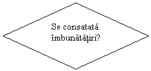 Flowchart: Decision:     Se consatata 
    imbunatatiri?
