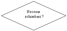 Flowchart: Decision:         Necesar
      schimbari ?
